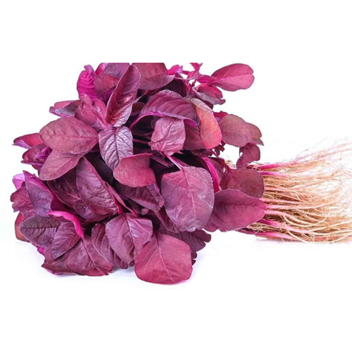 Red Leafy Vegetable- Lal Shak- Rotes Blattgemüse 